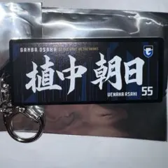 ガンバ大阪 グッズ 植中朝日 キーホルダー ユニフォーム モフレム ランダム