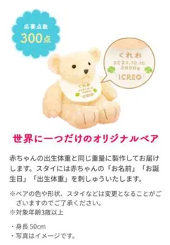 2026年最新】アイクレオ ベアの人気アイテム - メルカリ