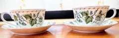 植物柄ティーカップ・ソーサー 2個セット