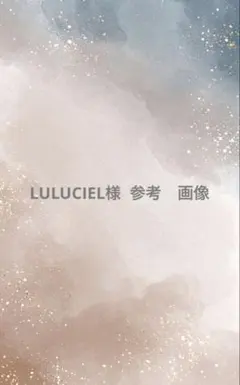 LULUCIEL様　専用　参考画像