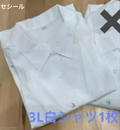 セシール　白シャツ　白ブラウスのサムネイル