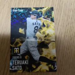 プロ野球チップス