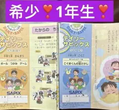 ㉑あ　希少❣️サピックス　SAPIX 算数　国語　デイリーサピックス 1年分　w ㉓や サピックス SAPIX 2年 デイリーサピックス 算数・国語 夏期講習