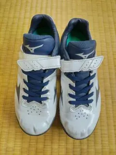 Item thumbnail for item 0215f834-ab4f-4888-a370-a18e43f7ddf4