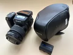 2026年最新】dsc-r1の人気アイテム - メルカリ