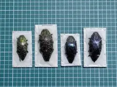 tatsuya様 リクエスト 7点 まとめ商品