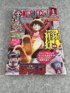 ワンピースマガジン ワンピース カードゲーム