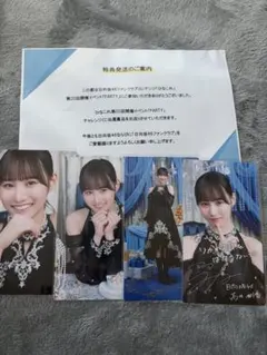 小西夏菜実 ひなこれ リアルカード マイル特典 4枚セット ひなこれ「レギュラー」に「2024年 夏 | FCニュース | 日向坂46