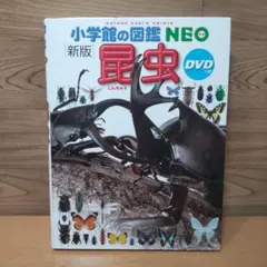 【小学館の図鑑 NEO　[新版] 昆虫　DVD つき】小学館　図鑑