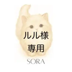 【ルル様専用】追加購入分