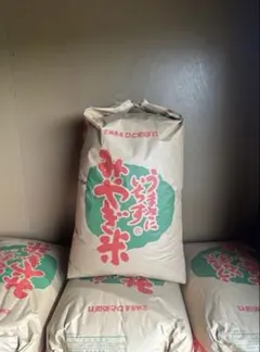 【令和7年度宮城県産】ひとめぼれ玄米 30キロのサムネイル