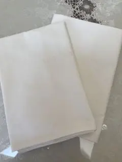 Item thumbnail for item 2fcdcd97-5ae6-4244-b5bd-01b99a0496f7