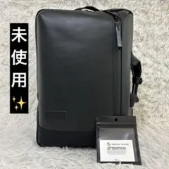 Item thumbnail for item 5eed0910-6847-44bb-8d6a-654a58e22b2d