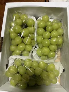 山形県インマスカット 3房 秀品です。