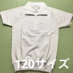 Item thumbnail for item 82b84ffb-9c93-4e29-851a-af255957ee9a