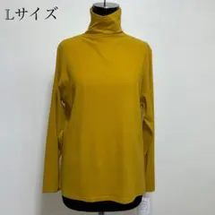 Item thumbnail for item 18ad5003-88c9-4105-8356-ebdc134bb90b