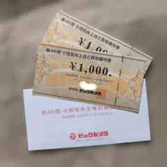 ビックカメラ 株主優待券　 ¥1000x2枚