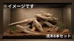 遠州灘 流木 8本セット 爬虫類 レイアウト インテリア素材 D-4のサムネイル