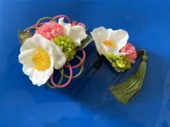 Item thumbnail for item 09b0d1d3-910c-479f-b02e-af2e8cab1e0d