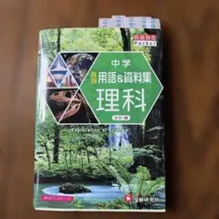 Item thumbnail for item 6f44e71d-a595-4060-b83b-29b9411e1998