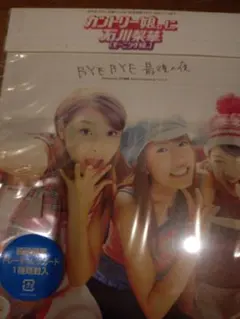 Item thumbnail for item 0ebc7ef3-cfe4-4993-b6eb-1ea97e1c5979