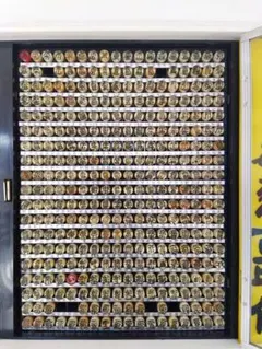 Item thumbnail for item 1852596c-24c5-429b-9450-cf9a4368518a