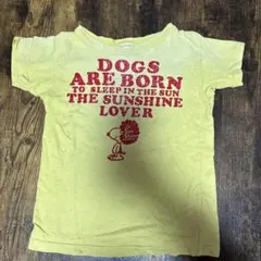 BREEZE スヌーピー半袖シャツ 120cm