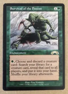 2025年最新】mtg適者生存の人気アイテム - メルカリ