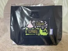 WICKED 永遠の約束 トートバッグ エルファバ グリンダ 劇場 限定 刺繍