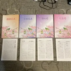 2026年最新】能開センター 公開模試6年の人気アイテム - メルカリ