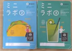 ミニラボ 2 3 英語　中学　NEW HORIZON　東