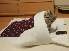 Item thumbnail for item d96cdce8-a437-46c2-8b64-3080effb1e52