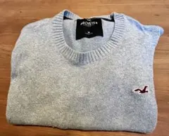 HOLLISTER ニット M ライトブルー