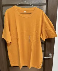 Item thumbnail for item 86fced1a-4e8e-4468-bca1-2304fa8bffaf