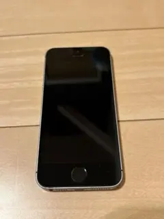 Apple iPhone SE (第一世代) SIMフリー スペースグレー