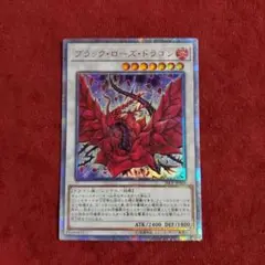 2025年最新】ブラックローズドラゴン 20thの人気アイテム - メルカリ