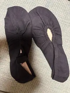 Item thumbnail for item dcb1c501-b244-4d5c-99c6-b1e84381a941