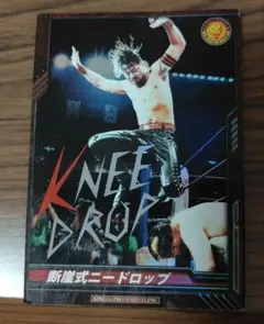 2026年最新】中邑真輔 キング・オブ・プロレスリングの人気アイテム