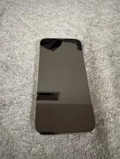 Apple iPhone 13 Pro グラファイト 256GB