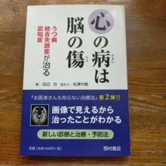 心の病は脳の傷 : うつ病統合失調症認知症が治る