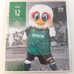 ブックス様 リクエスト 4点 まとめ商品