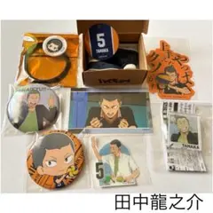 ハイキュー!! 田中龍之介