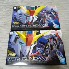 ガンプラ2点セット MGエールストライク一番くじB賞 &RGデスティニー