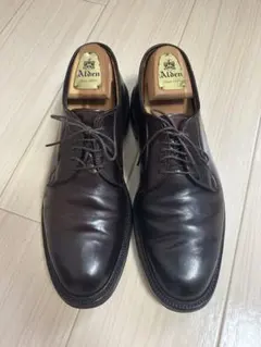 【極美品/純正ツリー付】Alden 990 コードバン プレーントゥのサムネイル