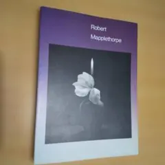 Robert Mapplethorpe メイプルソープ展 図録