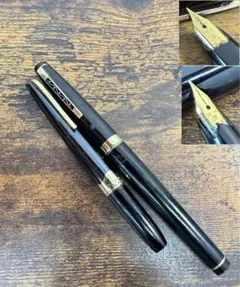 PLATINUM プラチナ 万年筆 18K 細軟 食刻 廃盤 廃番 - メルカリ
