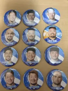 Item thumbnail for item 764695ef-f6c4-47e9-9114-89fc2cf0e2eb