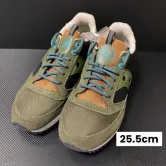 Item thumbnail for item 10243d5b-c604-48b4-a90e-1e22a2a56294