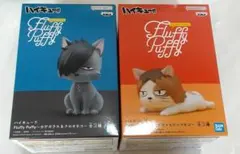 ハイキュー!!　FluffyPuffy　ケンマネコ　クロオネコ