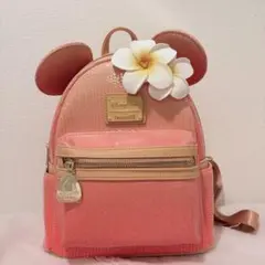 お値下げ　新品タグ付き　アウラニディズニー限定　ラウンジフライ　リュック